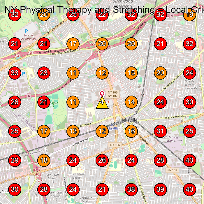 NY Physical Therapy and Stretching GeoGrid visibility map for Physical Therapist in Hicksville